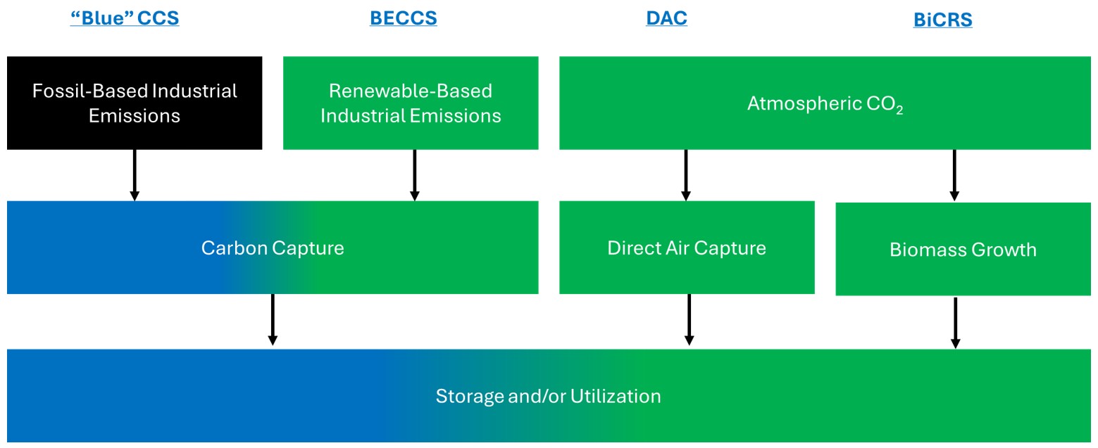 CO2 capture and utilization Money out of thin air NexantECA